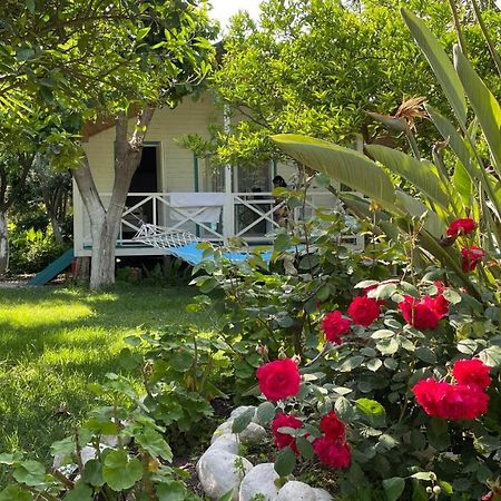 Bellerofon Beach Otel Çıralı 외부 사진