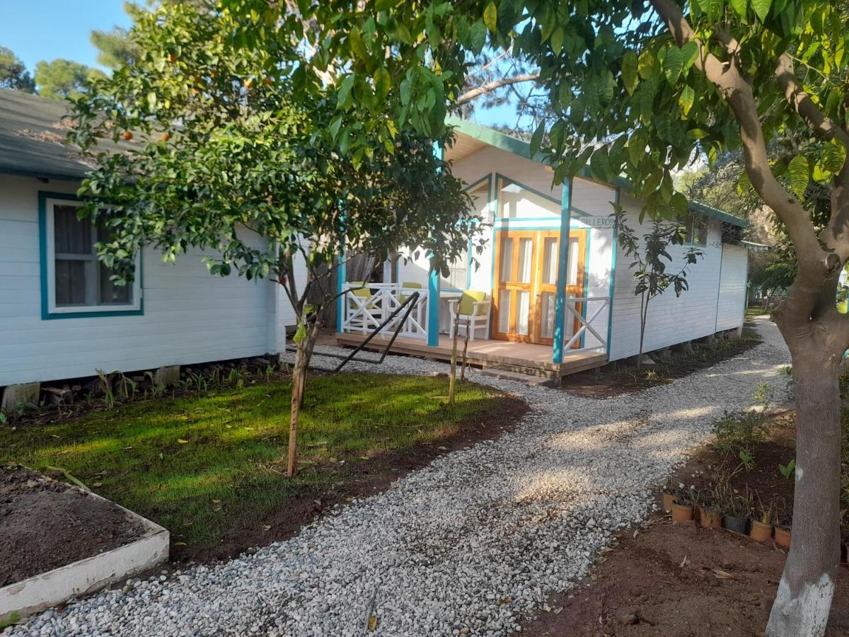 Bellerofon Beach Otel Çıralı 외부 사진