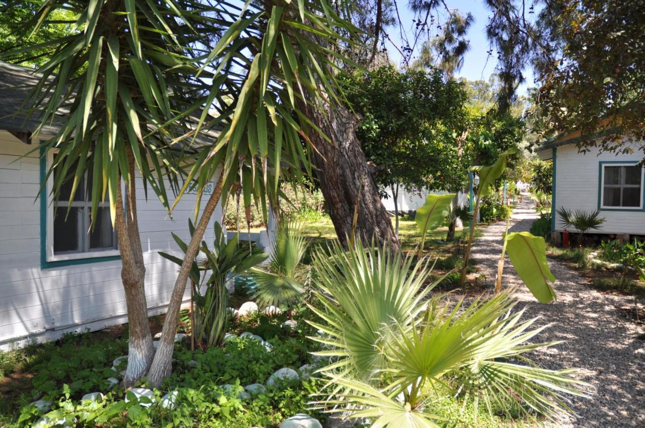 Bellerofon Beach Otel Çıralı 외부 사진