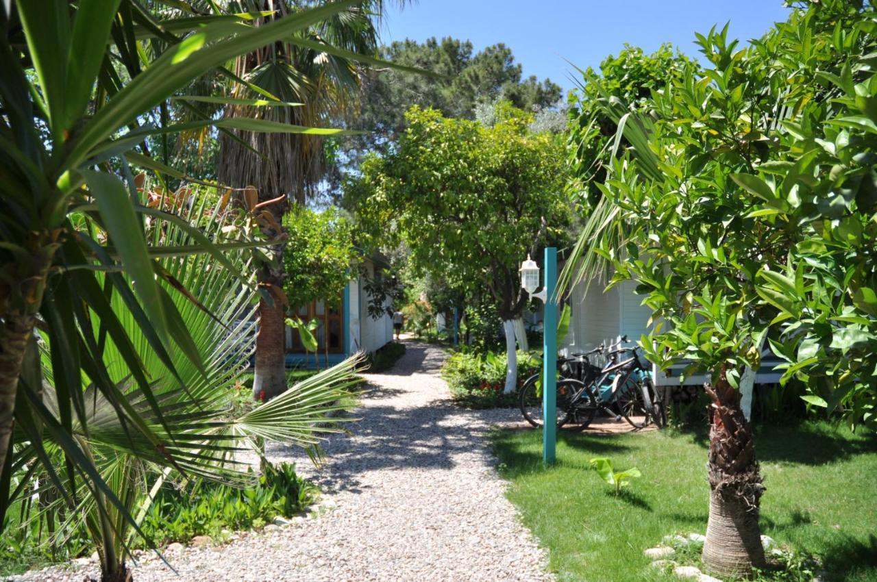 Bellerofon Beach Otel Çıralı 외부 사진