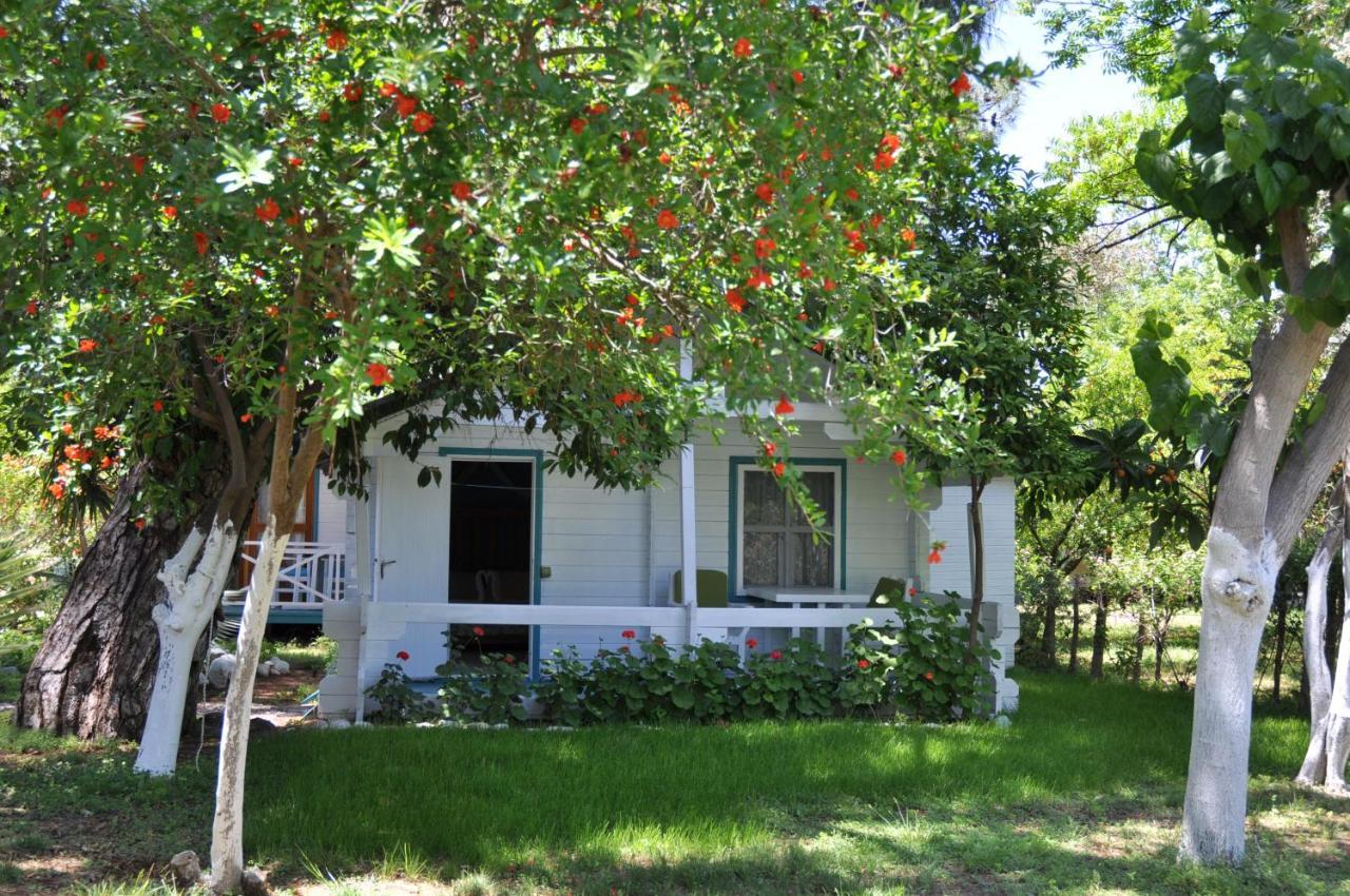 Bellerofon Beach Otel Çıralı 외부 사진