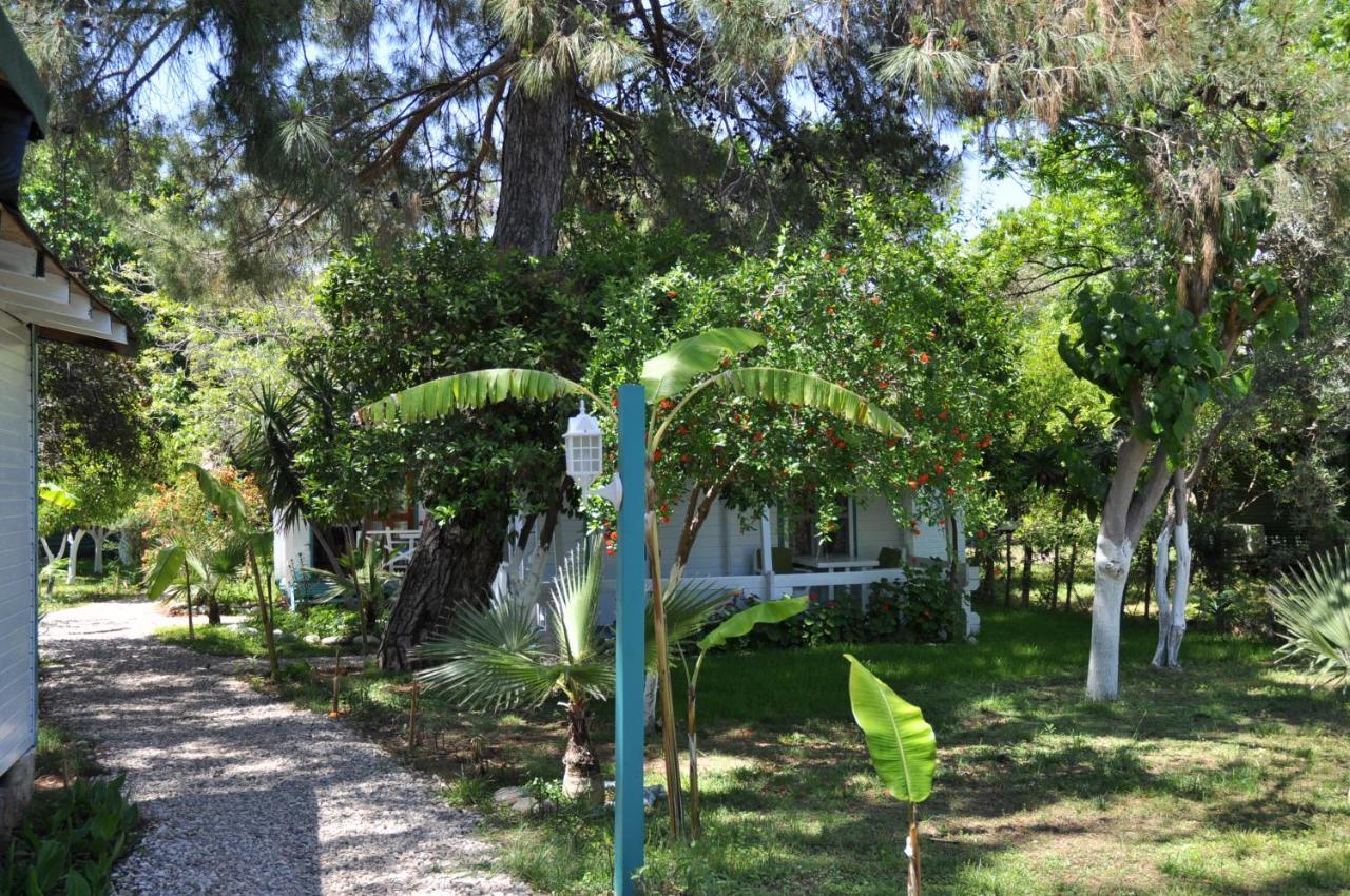 Bellerofon Beach Otel Çıralı 외부 사진