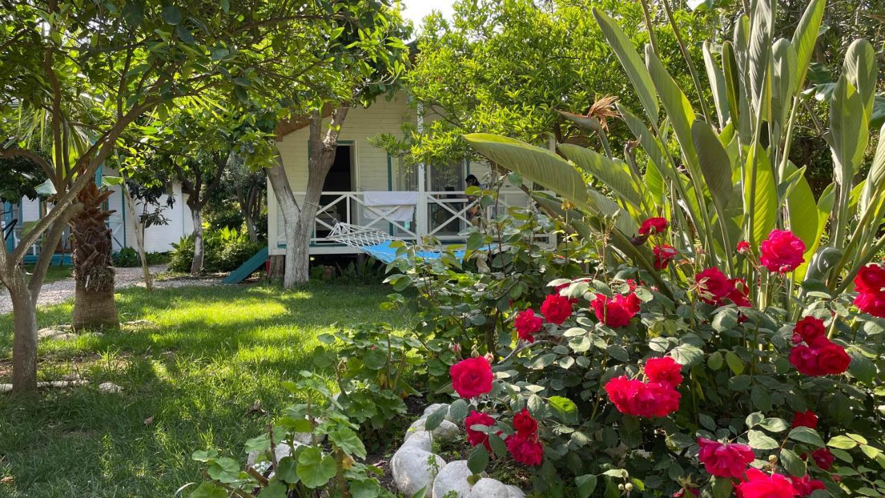 Bellerofon Beach Otel Çıralı 외부 사진