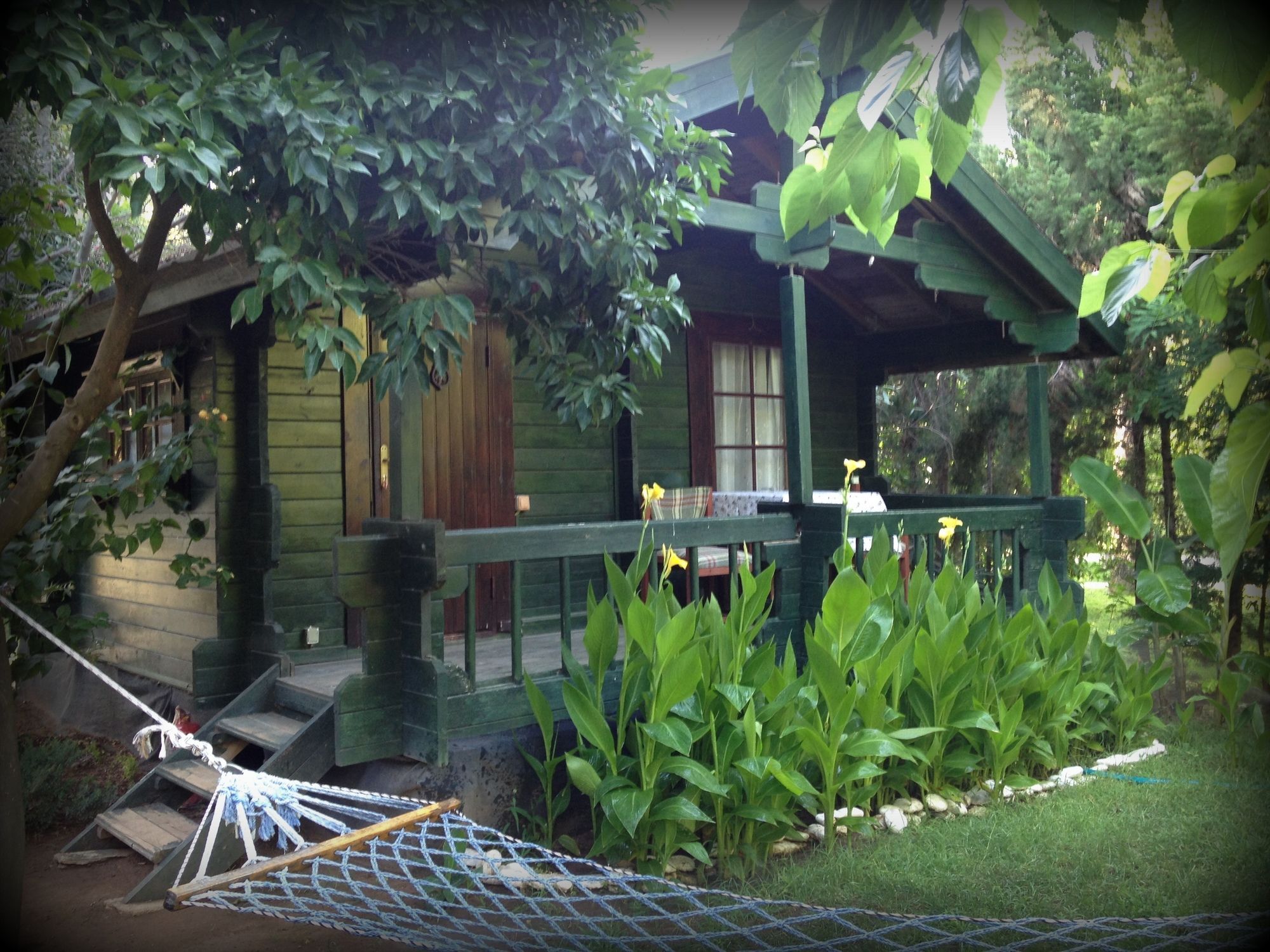Bellerofon Beach Otel Çıralı 외부 사진